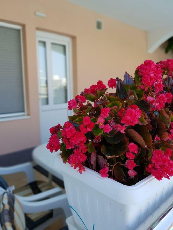 Villa Ferias Τρογκίρ Εξωτερικό φωτογραφία
